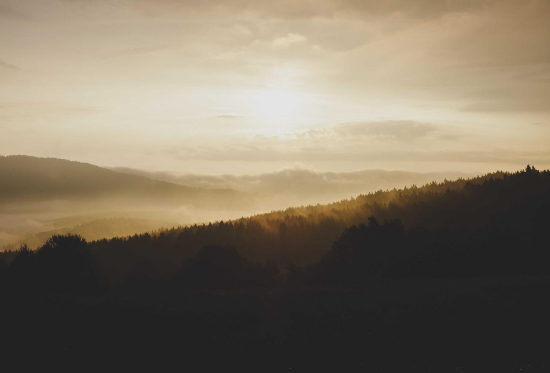 实名手机卡出售:越南公司注册代理
